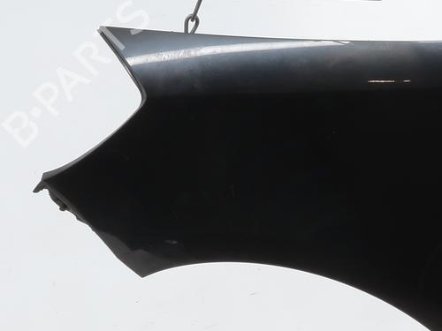 Left front fenders RENAULT CLIO III (BR0/1, CR0/1) 1.5 dCi (BR17, CR17) | BP30398805C41