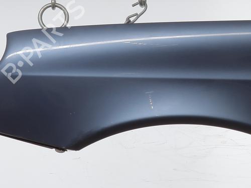 Left front fenders MERCEDES-BENZ E-CLASS (W211) E 200 CDI (211.004) | BP24531231C41 