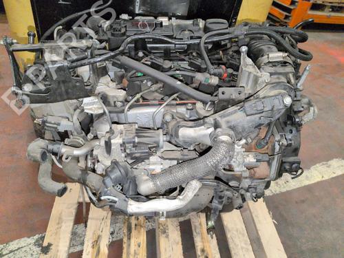 Engine FORD C-MAX II (DXA/CB7, DXA/CEU) 1.6 TDCi | BP40440623M1  - Image 7