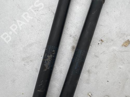 Tailgate lift support CITROËN C4 CACTUS 1.6 BlueHDi 100 | BP37418657C138 - Image 4