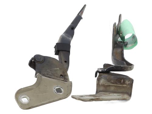 hingedoor-check-strap-renault-clio-iii-br01-cr01-2005-2006-2007-2008-2009-2010-2011-2012-2013-2014-30948851 main image