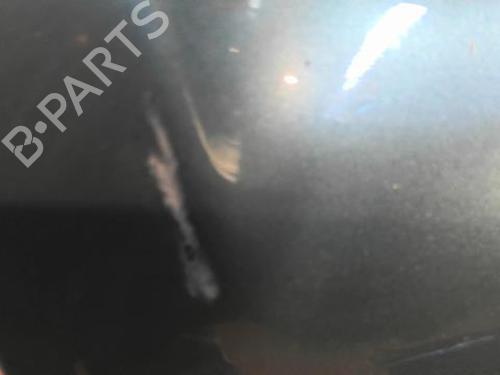 Left front door CITROËN C3 I (FC_, FN_) 1.4 i | BP22005281C2 