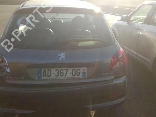 Left front door PEUGEOT 206+ (2L_, 2M_) 1.4 i (2LKFWA, 2MKFWA) | BP21116989C2 