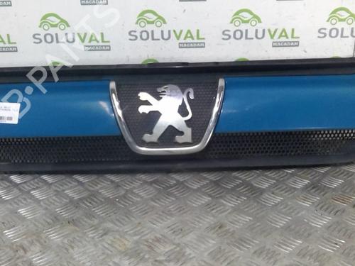 Grille PEUGEOT BOXER Van (244) 2.2 HDi | BP20364579C40