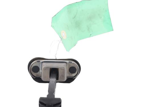 Hinge/Door check strap DACIA SPRING EV (B6M1) | BP26184053C146 