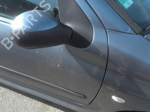 Door moulding trim PEUGEOT 206 Hatchback (2A/C) 1.4 HDi eco 70 | BP21067834C150 
