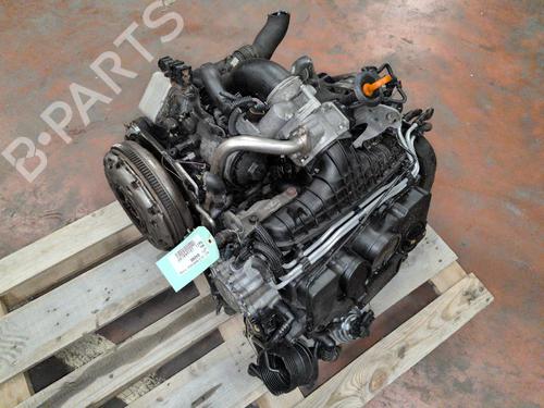 Engine AUDI A3 Sportback (8PA) 2.0 TDI | BP39228561M1 - Image 6