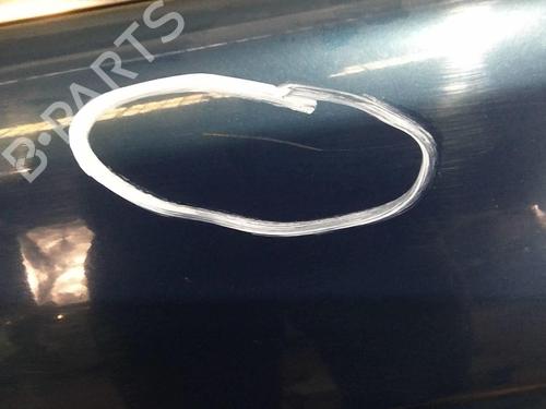 Left front door BMW 5 Touring (E39) 530 d | BP20363865C2 
