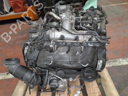 Engine VW GOLF PLUS V (5M1, 521) 2.0 TDI | BP39258211M1 - Image 9