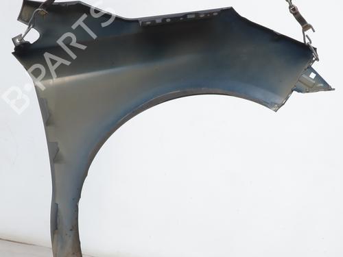 Forkjerm venstre CITROËN C4 II (NC_) 1.6 HDi 90 | BP30604573C41