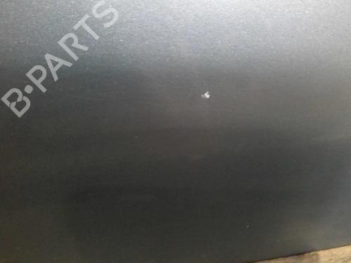 Right front door SKODA FABIA I (6Y2) 1.2 | BP20369819C3 
