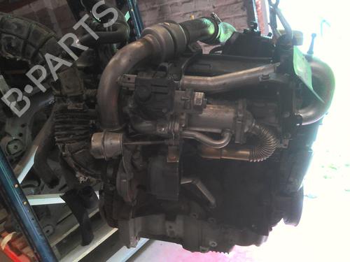 Engine NISSAN MICRA III (K12) 1.5 dCi | BP29082619M1