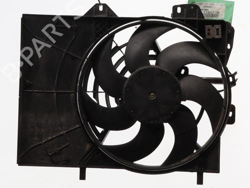Used Radiator fan PEUGEOT 207 (WA_, WC_) 1.6 HDi (90 hp) 29900753
