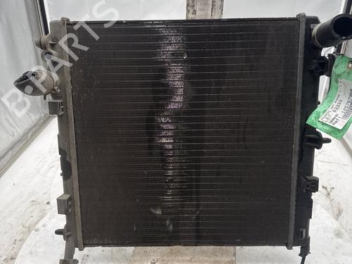 Used Water radiator Water radiator PEUGEOT 207 (WA_, WC_) [2006-2015] 35903138 35903138