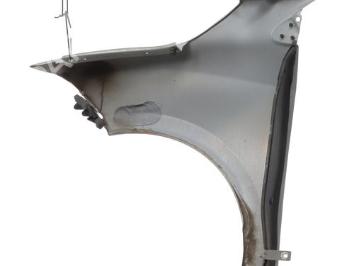 Right front fenders RENAULT MEGANE III Hatchback (BZ0/1_, B3_) 1.5 dCi (BZ0C) | BP29407647C42 