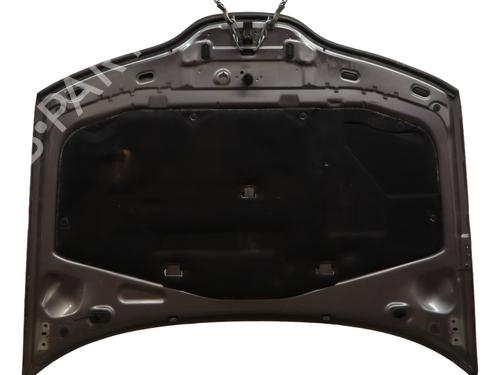 hood-renault-laguna-ii-bg01_-2001-2002-2003-2004-2005-2006-2007-32713166 main image