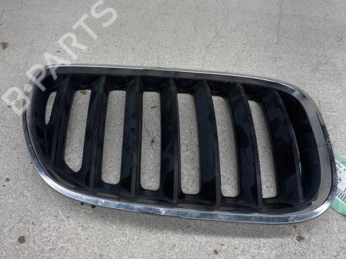 Grill BMW X5 (E53) 3.0 d | BP35902057C40 - Image 4