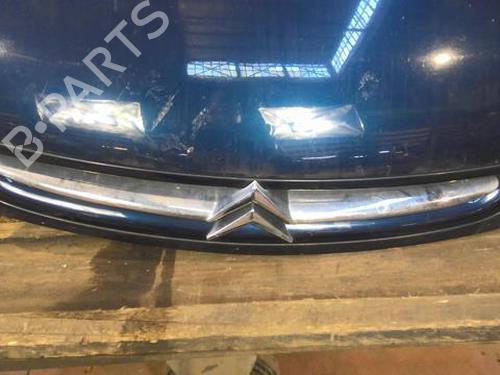 Hood CITROËN XSARA PICASSO (N68) 1.8 16V | BP22005284C1 