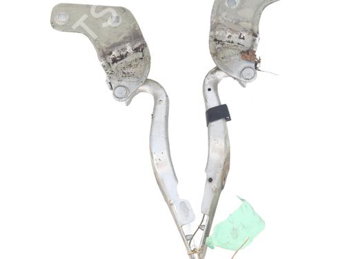 hingedoor-check-strap-renault-clio-iii-br01-cr01-2005-2006-2007-2008-2009-2010-2011-2012-2013-2014-31582743 main image