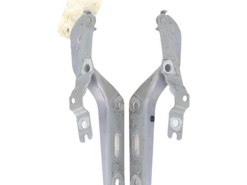 hingedoor-check-strap-vw-polo-vi-aw1-bz1-ae1-2017-39986537 main image