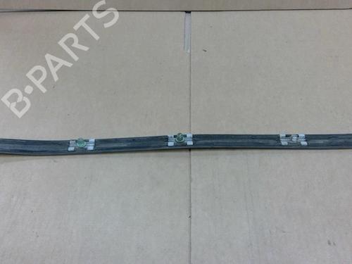 Door moulding trim BMW 3 (E46) 318 d | BP29082681C150 