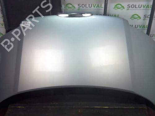 Used Hood SEAT ALHAMBRA (7V8, 7V9) 1.9 TDI (115 hp) 22000185