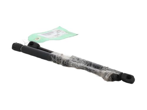 hood-lift-support-audi-tt-roadster-8n9-1999-2000-2001-2002-2003-2004-2005-2006-2007-28683860 main image