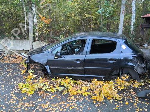 Door moulding trim PEUGEOT 207 (WA_, WC_) 1.4 HDi | BP29758673C150