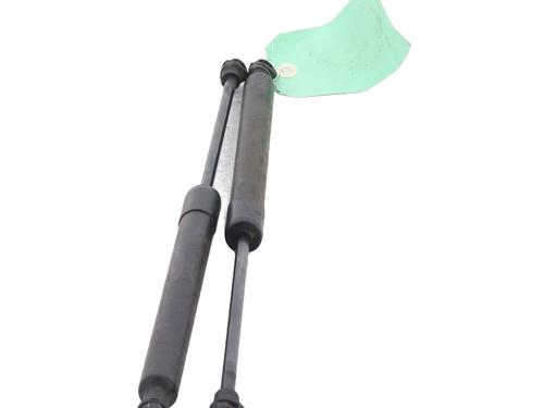 Tailgate lift support RENAULT ZOE (BFM_) ZOE | BP23788944C138 