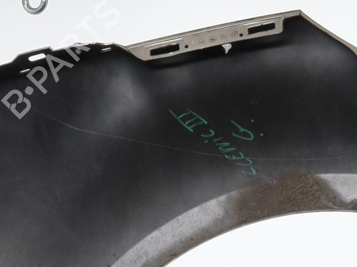 Left front fenders RENAULT SCÉNIC III (JZ0/1_) 1.5 dCi | BP21164014C41 
