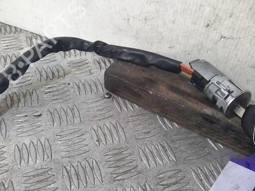 Used Ignition barrel Ignition barrel 21817255 21817255