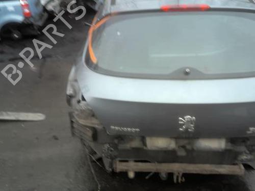 Door moulding trim PEUGEOT 308 I (4A_, 4C_) 1.6 HDi | BP24231079C150 