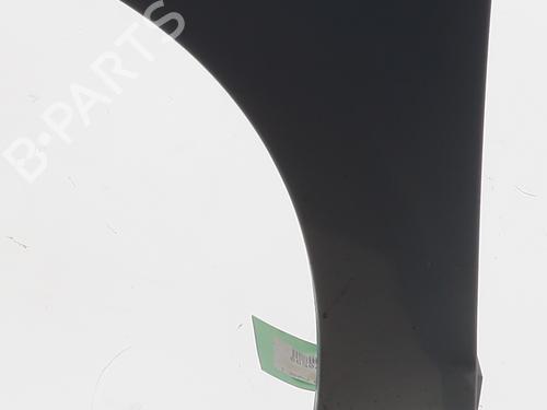 Left front fenders RENAULT SCÉNIC III (JZ0/1_) 1.5 dCi | BP24212949C41 