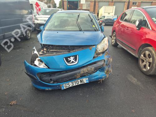 Left front door PEUGEOT 207 (WA_, WC_) 1.4 | BP31961506C2 