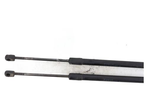tailgate-lift-support-renault-megane-iii-hatchback-bz01_-b3_-2008-27663897 main image