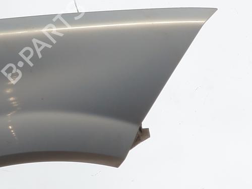 Right front fenders RENAULT MEGANE II (BM0/1_, CM0/1_) 1.6 16V (BM0C, CM0C) | BP29360455C42 