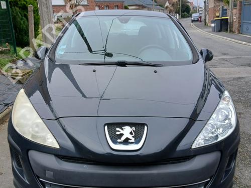 Brugte PEUGEOT 308 I (4A_, 4C_) 1.6 HDi (92 hp) 4429214