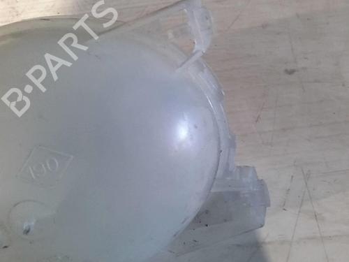 Expansion tank DACIA SANDERO II 1.5 dCi 75 / Blue dCi 75 (B8JW, B8M4, B8AH, B8M7, B8M6) | BP20727384C120 