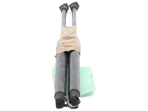Tailgate lift support TOYOTA YARIS (_P13_) 1.4 D (NLP130_, NLP130) | BP29292109C138 