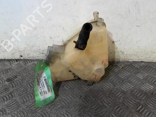 Used Expansion tank FORD FIESTA VI (CB1, CCN) 1.25 (60 hp) 20360998