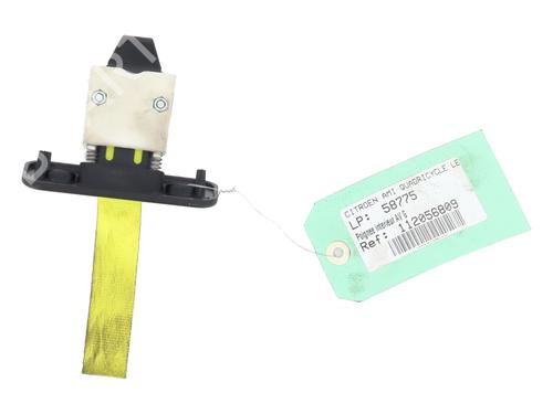 Used Front left interior door handle Front left interior door handle CITROËN AMI (9A_) Electric (9AZ2CA) (8 hp) 29197211 29197211