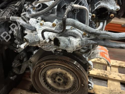 Engine VW POLO VI (AW1, BZ1, AE1) 1.0 TSI | BP33895702M1  - Image 5