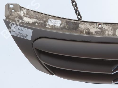 Grill CITROËN C3 I (FC_, FN_) 1.4 HDi | BP29896838C40