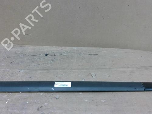 Modanatura della portiera RENAULT CLIO II (BB_, CB_) 1.2 (BB0A, BB0F, BB10, BB1K, BB28, BB2D, BB2H, CB0A,... (58 hp) 30878005