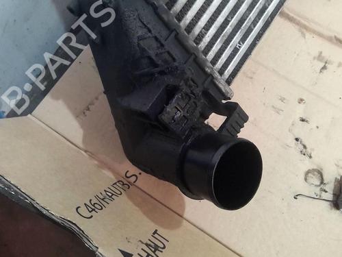 Used Intercooler Intercooler RENAULT VEL SATIS (BJ0_) 2.0 dCi (BJ03) (150 hp) 20368323 20368323