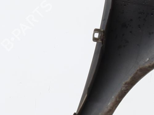 Left front fenders RENAULT LAGUNA II (BG0/1_) 1.9 dCi (BG08, BG0G) | BP21544586C41 