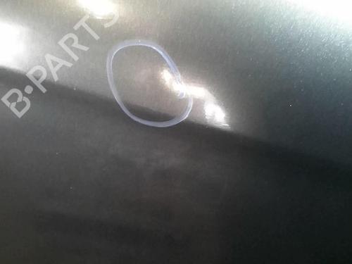 Right front door FIAT BRAVO II (198_) 1.9 D Multijet (198AXD1A) | BP20360403C3 