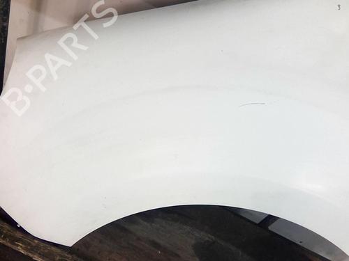 Left front fenders RENAULT KANGOO Express (FW0/1_) 1.5 dCi 85 (FW0K, FW0L, FW0B) | BP20360199C41 