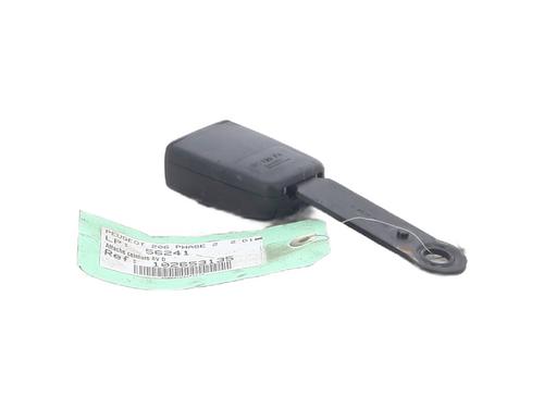Seat buckle PEUGEOT 206 Hatchback (2A/C) 2.0 HDI 90 | BP24415516I32 