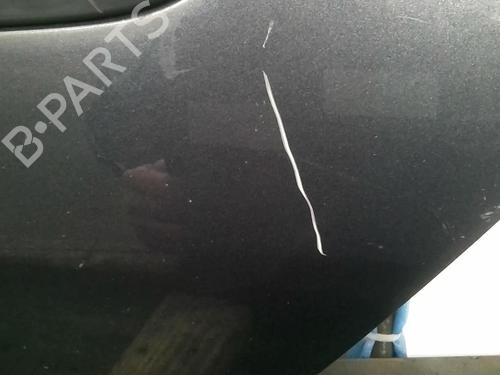 Left rear door RENAULT CLIO III (BR0/1, CR0/1) 1.5 dCi (C/BR0G, C/BR1G) | BP20365997C4 